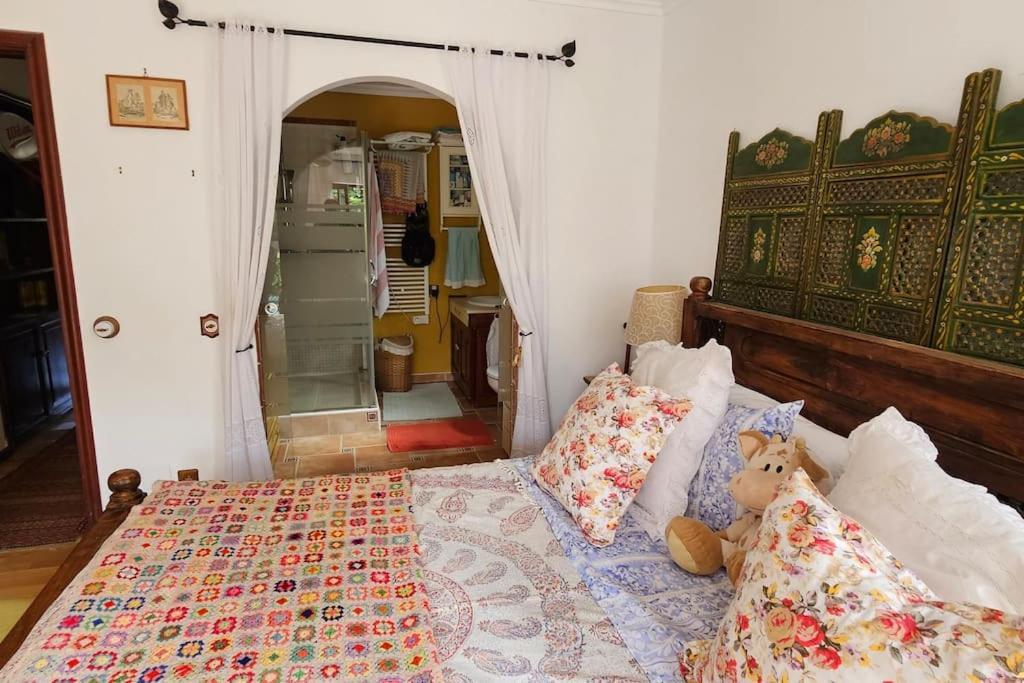 Villa La Paz 2 Puerto de la Cruz  Extérieur photo