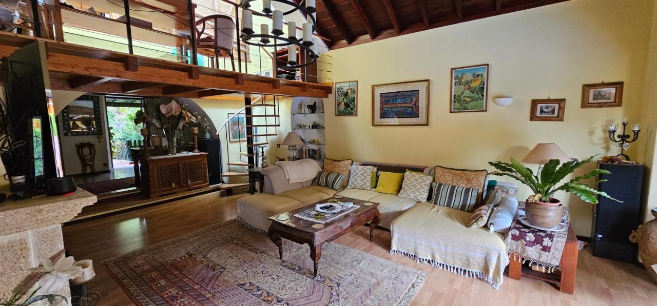 Villa La Paz 2 Puerto de la Cruz  Extérieur photo